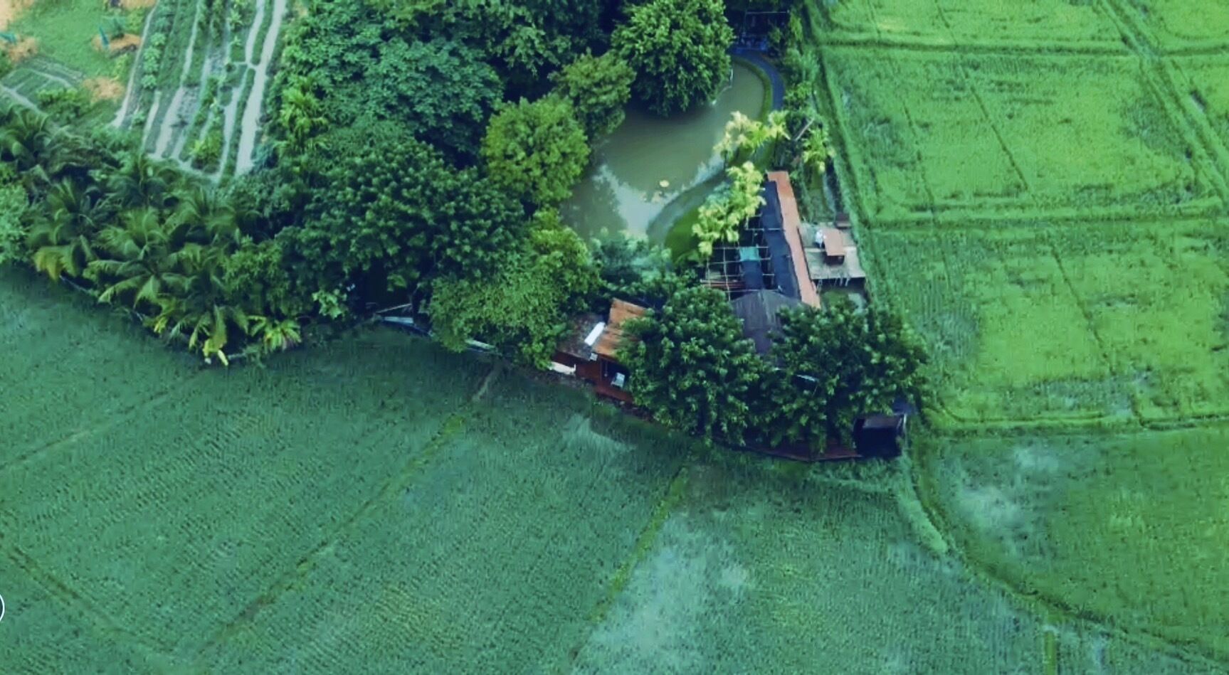 Eine Luftaufnahme einer ländlichen Gegend mit einem Haus, umgeben von üppigem Grün und Feldern.