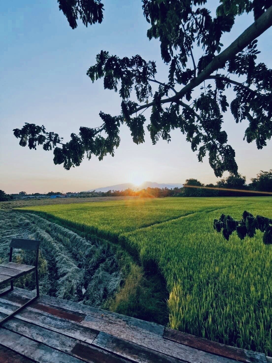 Mặt tiền nơi lưu trú