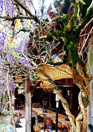 Restaurante al aire libre