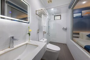 Shower, hydromassage showerhead, hair dryer, bidet