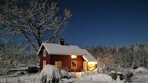 Eksteriør