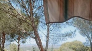Een kamer met uitzicht op bomen en een huis. Er staat een bed met een gestreept dekbedovertrek op, en een paar zonnebrillen.
