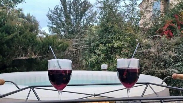 Two glasses of red wine on a metal tray with a bowl of snacks, set against a pool and greenery. - Bastide Cedrea (Peyrolles-en-Provence)