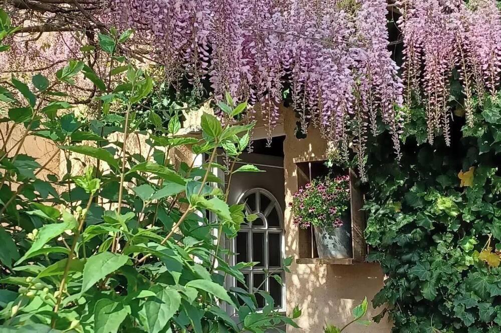 Bastide Cedrea