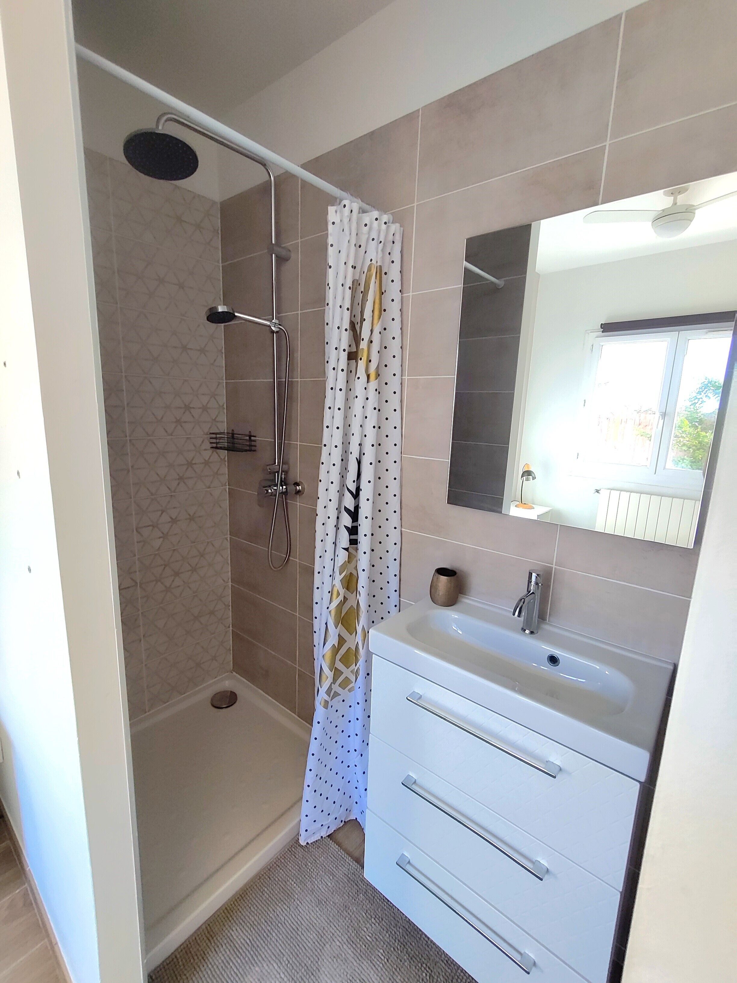 A bathroom with a shower, a sink, and a mirror.