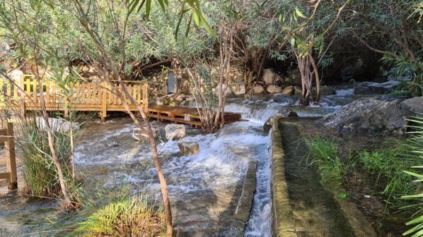 المنطقة المحيطة بالمنشأة