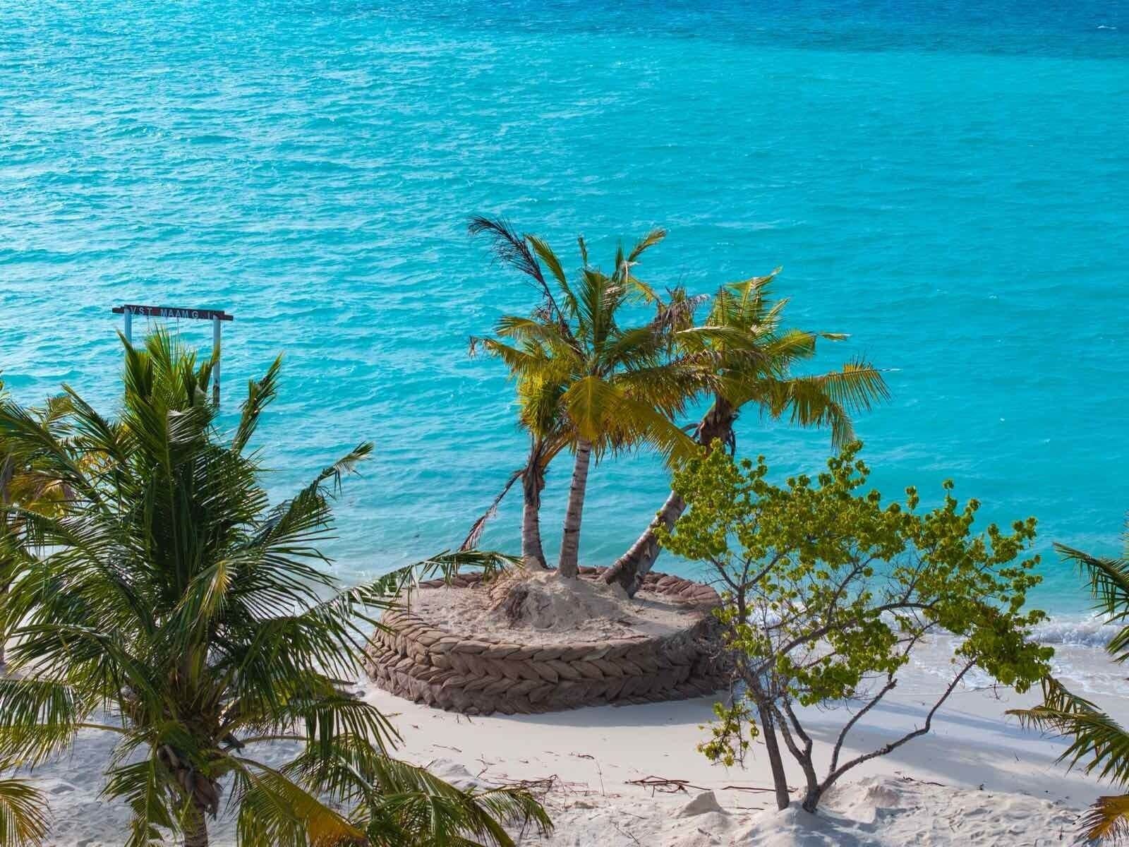 Foto - Maaniya Palace