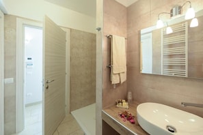 Shower, hair dryer, bidet, towels