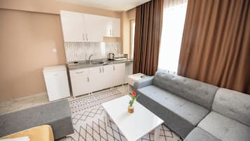 Frigobar, placa de cocina, plancha de cocina, utensilios de cocina