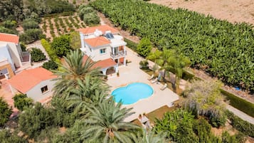 A two-story house with a swimming pool, surrounded by lush greenery and a banana plantation.