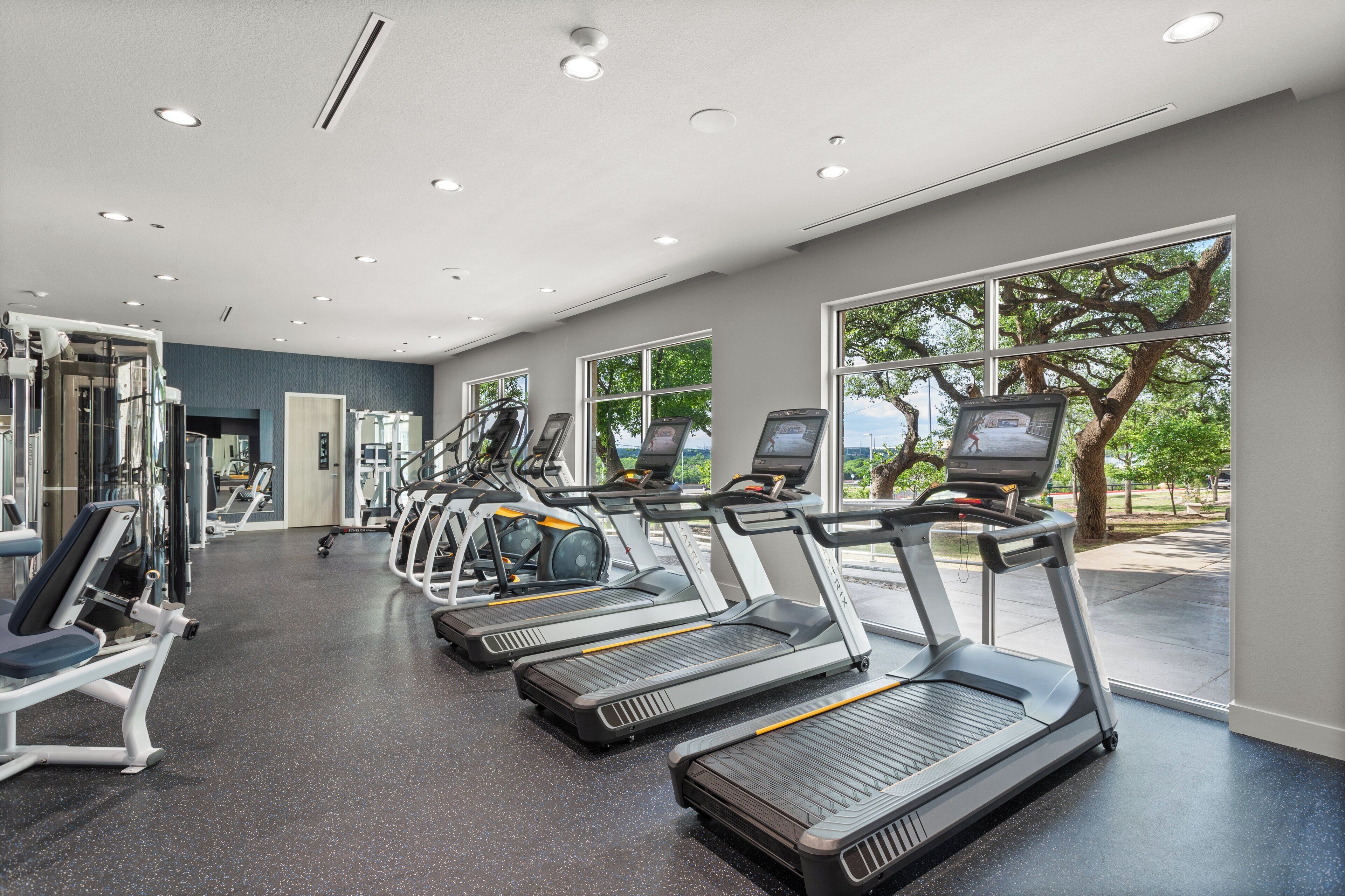 A gym with treadmills, weight machines, and cardio equipment.
