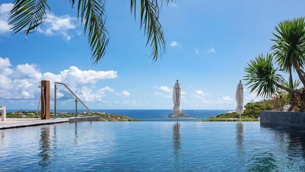 Una piscina con vista al océano, palmeras y una estatua.