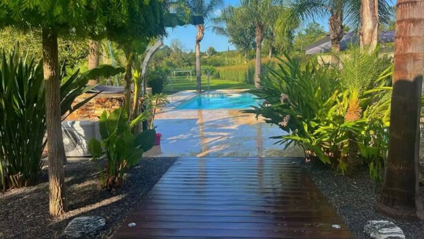 A wooden pathway leading to a pool surrounded by tropical vegetation. - Lexotique Cottage (Solliès-Pont)
