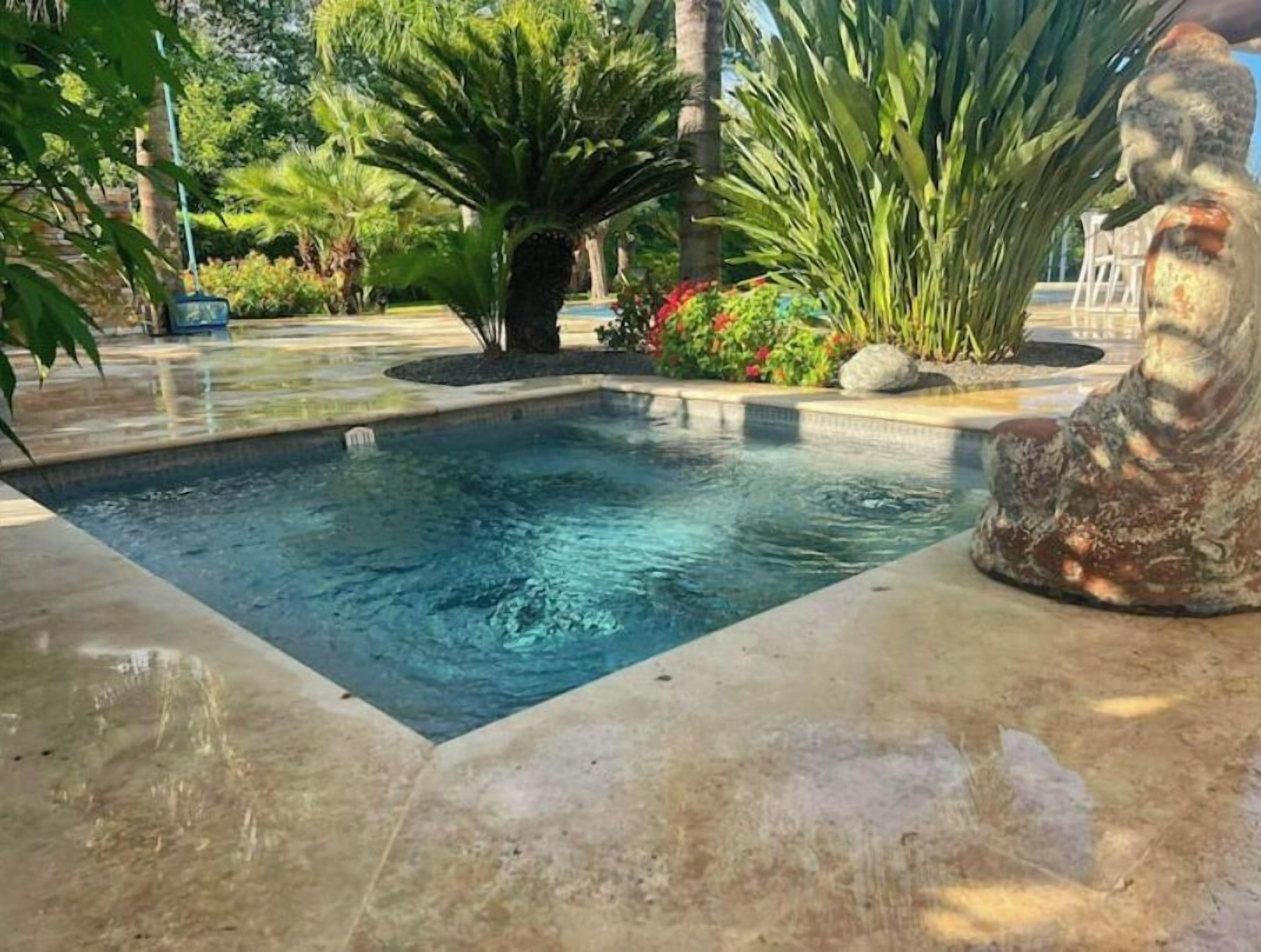 Une piscine bordée de pierres, entourée de plantes tropicales et ornée d’une statue de pierre.