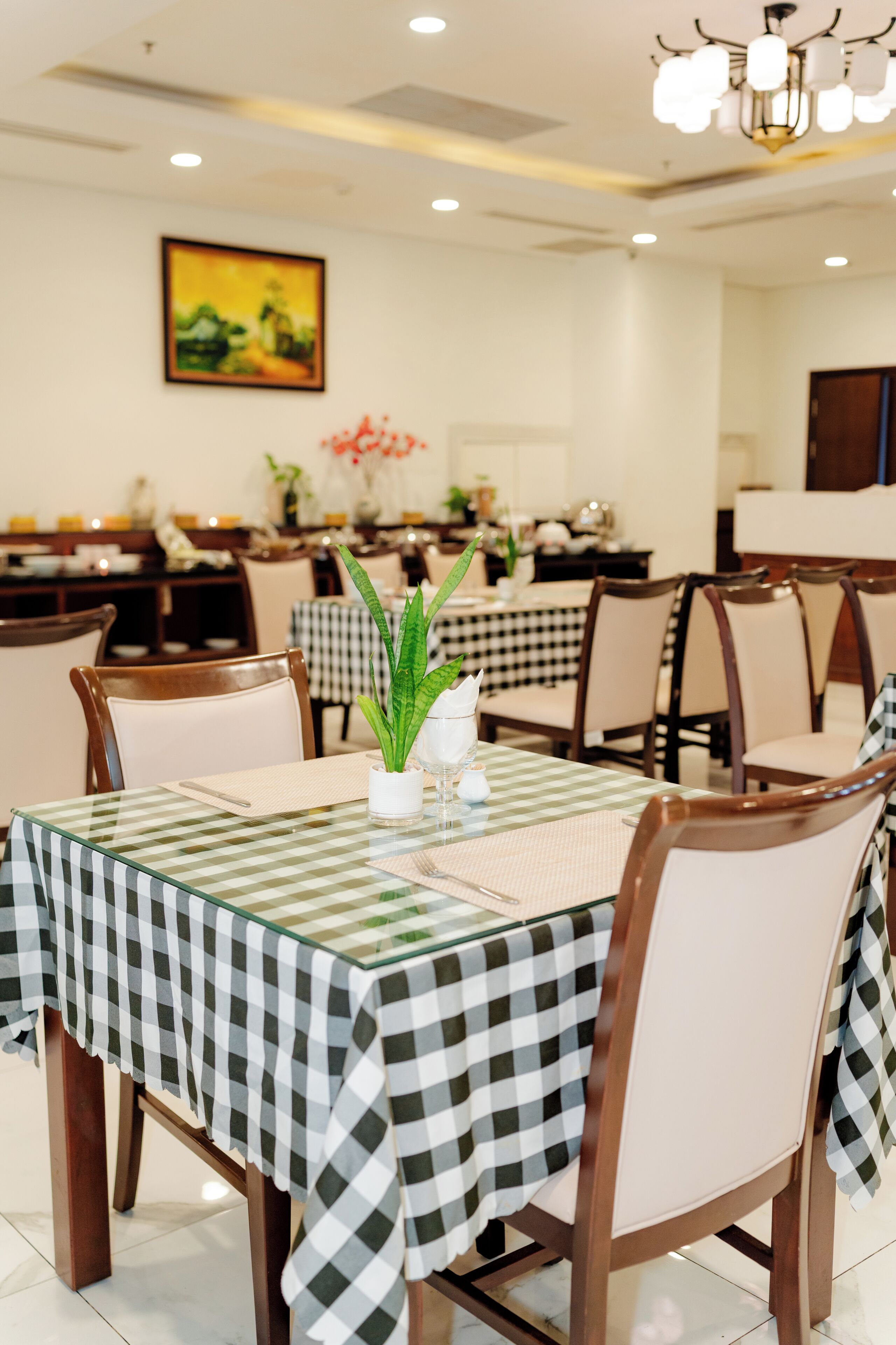 A dining area with checkered tablecloths, chairs, and a potted plant on the table.