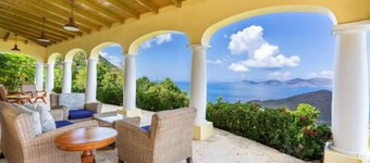 Blu Tortu- Tropical Paradise