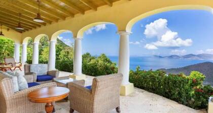 Blu Tortu- Tropical Paradise