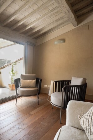 Smart TV, fireplace, books