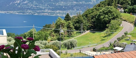 A view of a coastal area with a road curving through a green landscape, a swimming pool, and a building with a tiled roof.