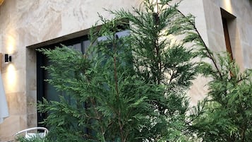 Enceinte de lâhĂ©bergement