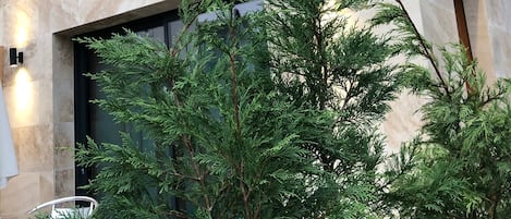 المنطقة المحيطة بالمنشأة