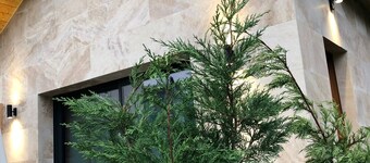 The Jungle Spa : Tiny House & SPA (Jacuzzi/Sauna 100% privés)