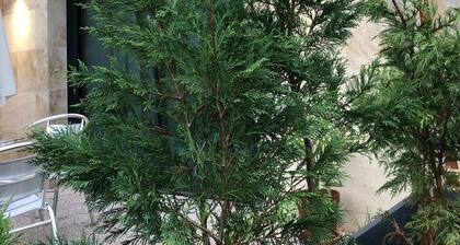 The Jungle Spa : Tiny House & Spa (Jacuzzi/Sauna)