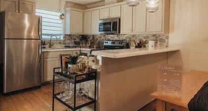 Modern Cottage Style Apt-King Bed near UTRGV & DHR