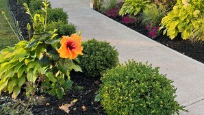 Un jardín con diversas plantas y flores, un sendero y un edificio con puerta roja y el número 89.