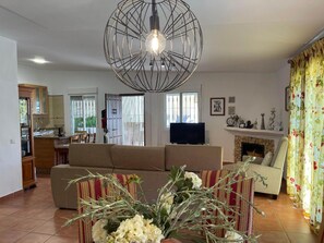 Fernseher, Kamin, DVD-Player, Tischtennisplatte