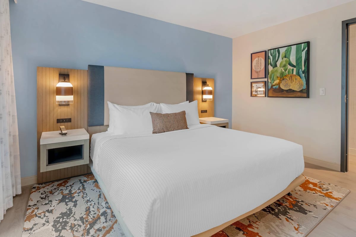 Suite, 1 letto king, accessibile ai disabili, non fumatori | Una scrivania, postazione laptop, ferro/asse da stiro, culla da viaggio