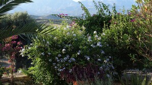 En have med forskellige planter og blomster, en stenvæg og et bjerglandskab i baggrunden.