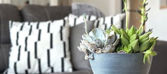 GI Cozy nestled home