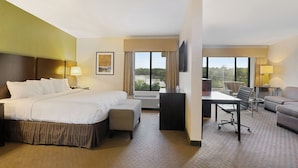 Habitación de hotel con una cama grande, un escritorio, una silla, un sofá y vistas al exterior.