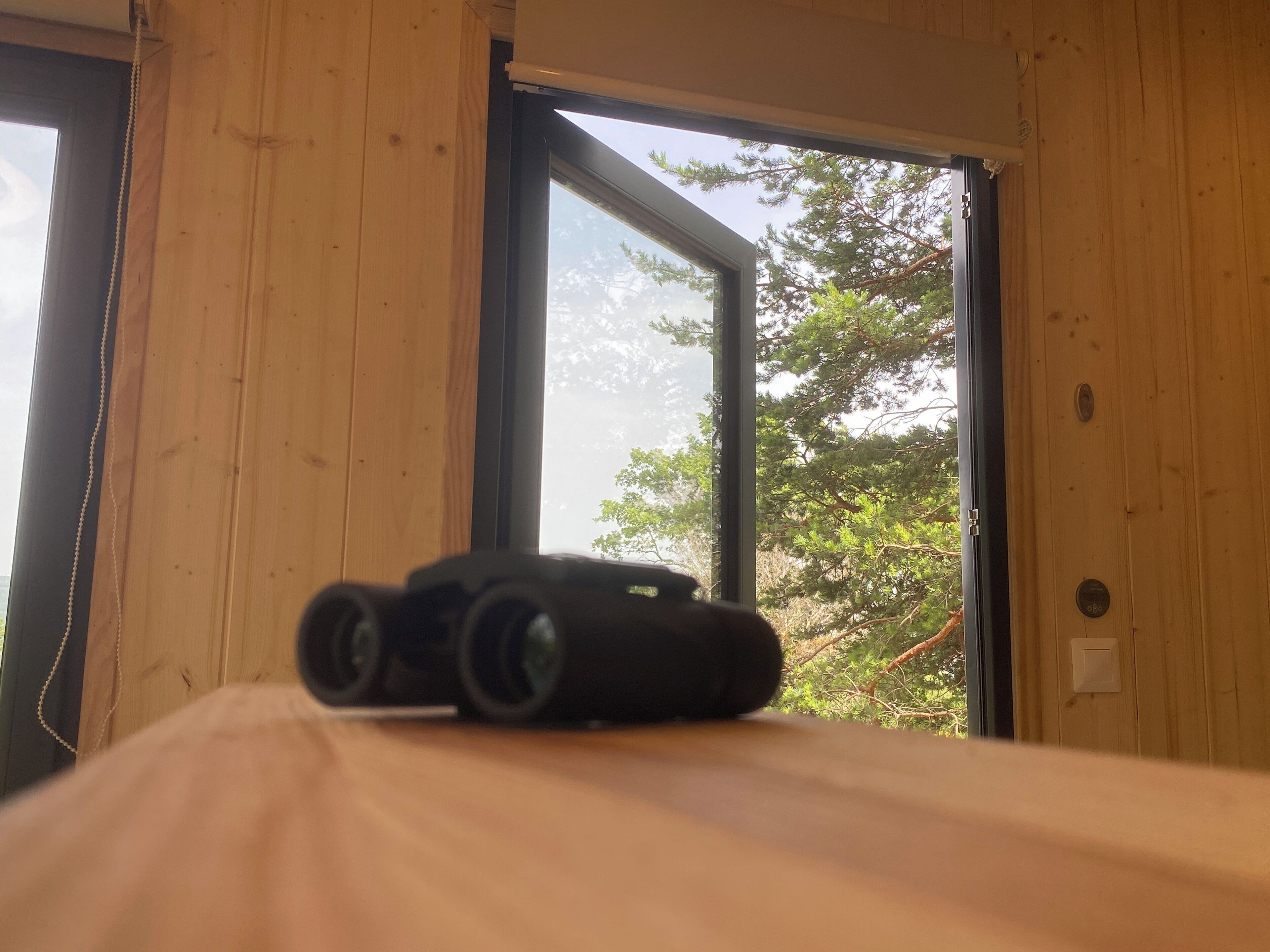 A wooden room with a bed, a window, and a pair of binoculars on the bed.