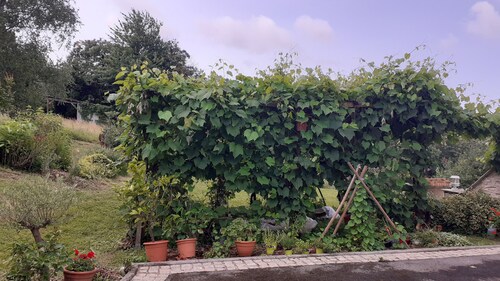 Maison a la Campagne