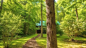 Property grounds - Riverbright Treehouse on the Toccoa (Suches)