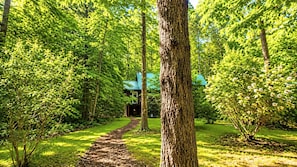 Property grounds - Riverbright Treehouse on the Toccoa (Suches)