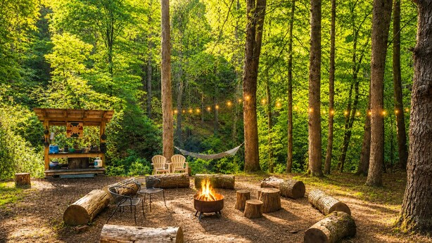 Property grounds - Riverbright Treehouse on the Toccoa (Suches)