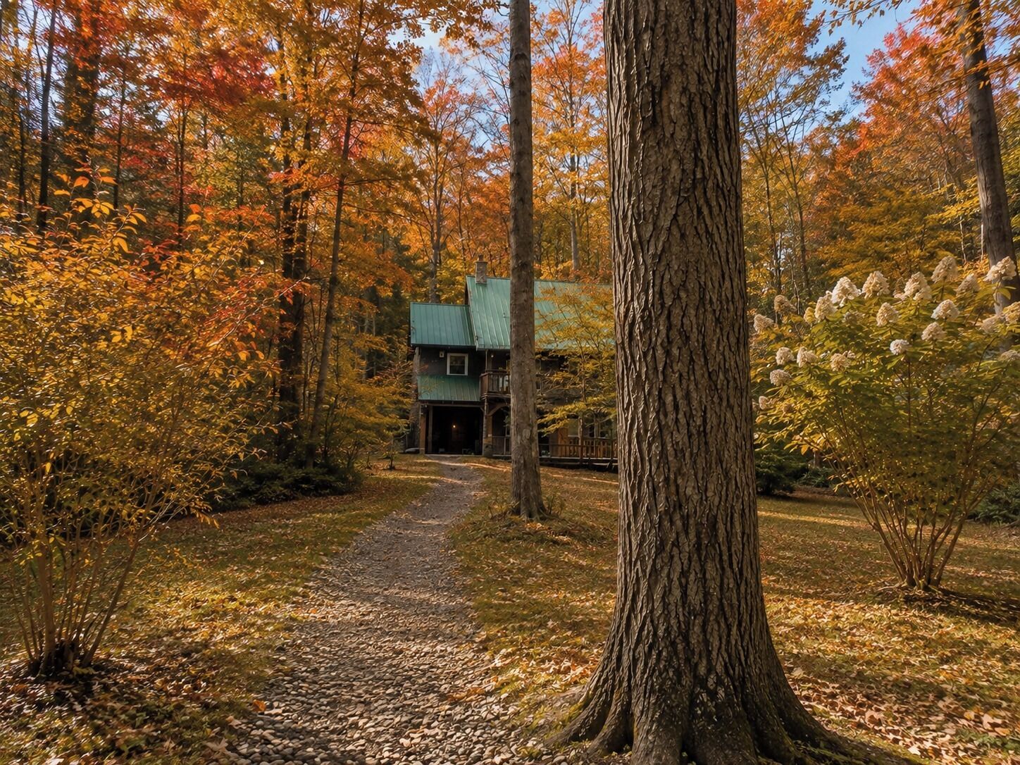 A forest path leading to a cabin with a green roof, surrounded by autumn foliage.