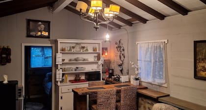 Cozy tiny log cabin on 14 acres