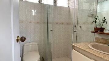 Shower, towels, toilet paper