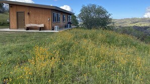 Un edificio moderno de madera con una banca afuera, rodeado por un campo de flores amarillas y un cielo azul despejado.
