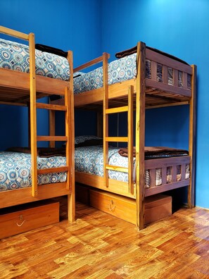 Economy Shared Dormitory, Mixed Dorm | Hypo-allergenic bedding, free WiFi, bed sheets - Cañada Strongest 1457 (La Paz)