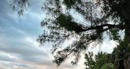 La kaz Bleue de Ginette, Dans les Hauts du sud de la Réunion