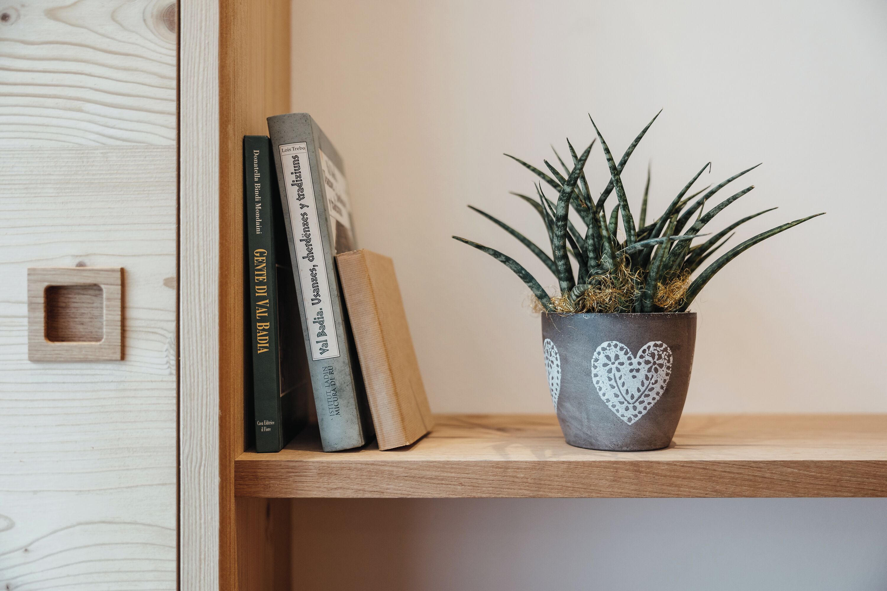 Una estantería con libros y una planta en maceta.