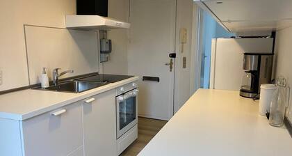 Cozy apartament in Gentofte - Copenhagen. Family-Friends size place.