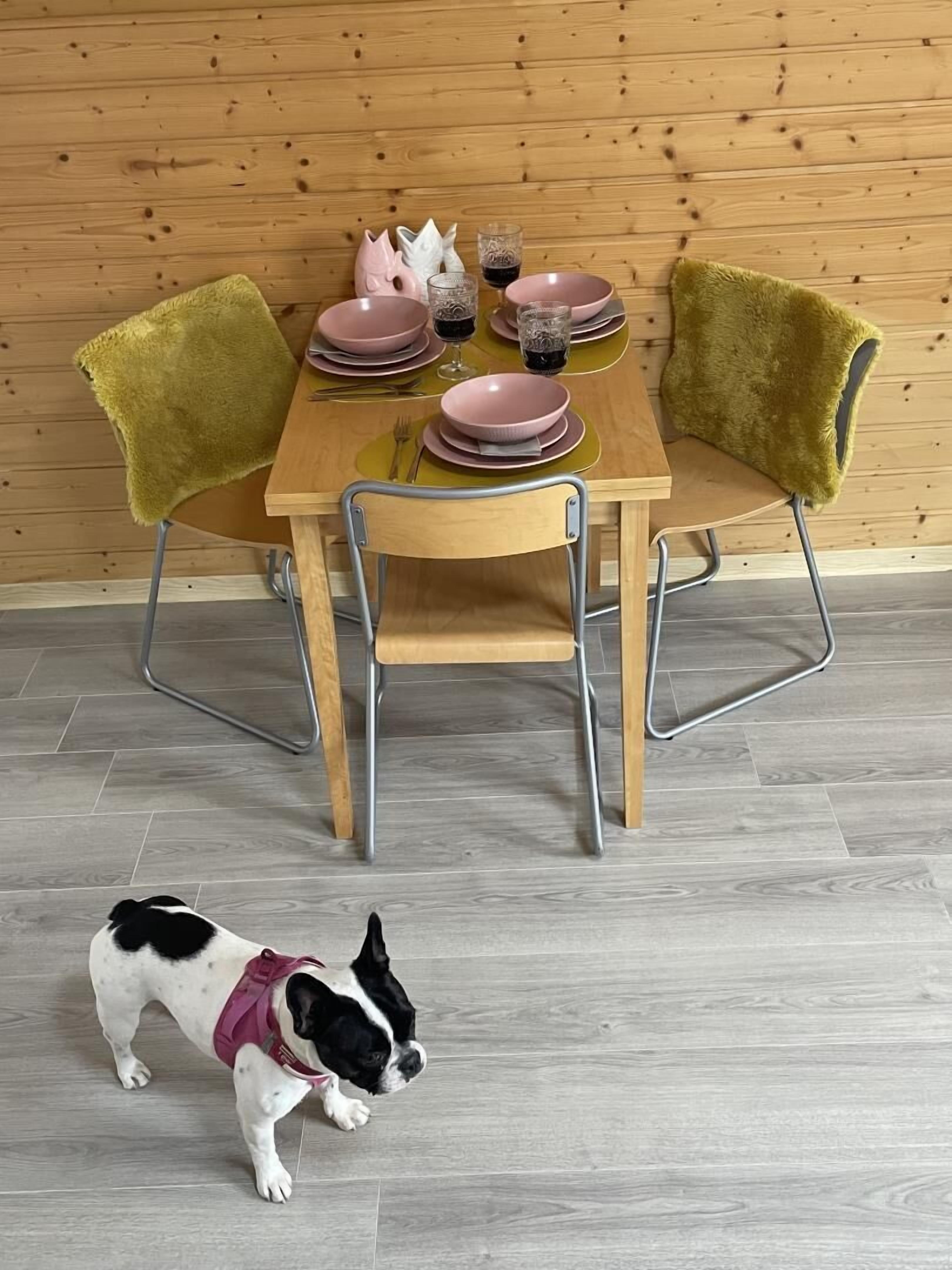 Servei de restauració