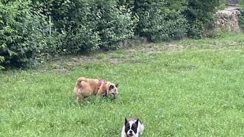 Área da propriedade