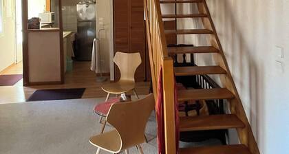 Appartement Duplex à Tours